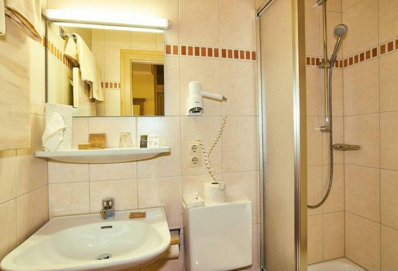 חדר סטנדרט יחיד, Alpenhotel Hundsreitlehen