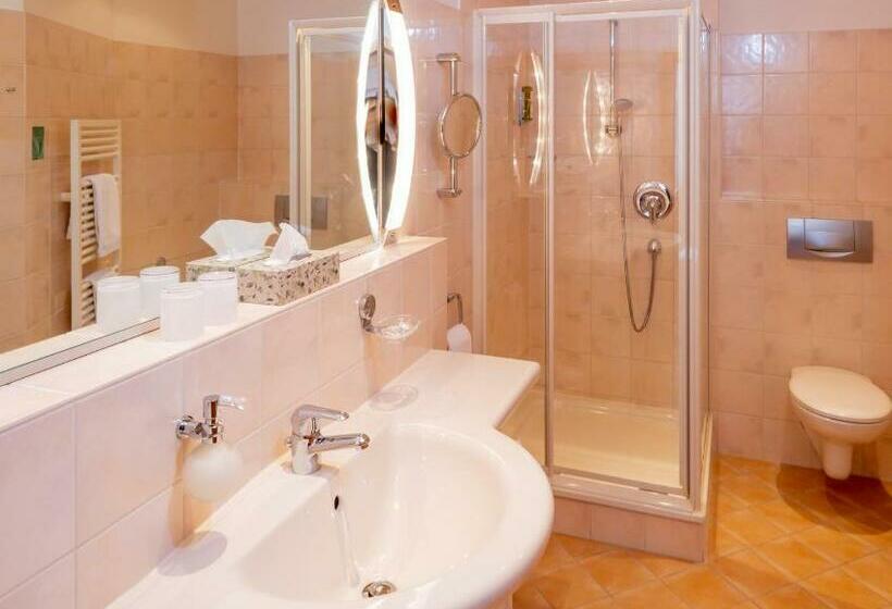 Номер Стандарт, Harzhotel Zum Prinzen