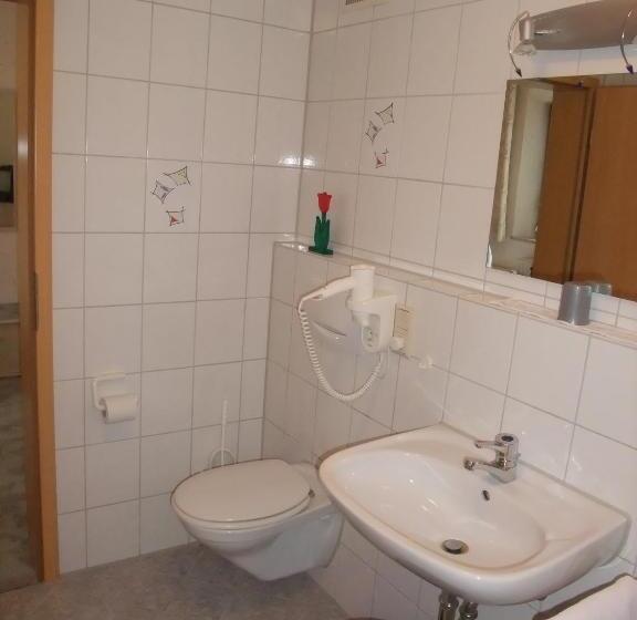 标准单人间, Gasthof Alte Post