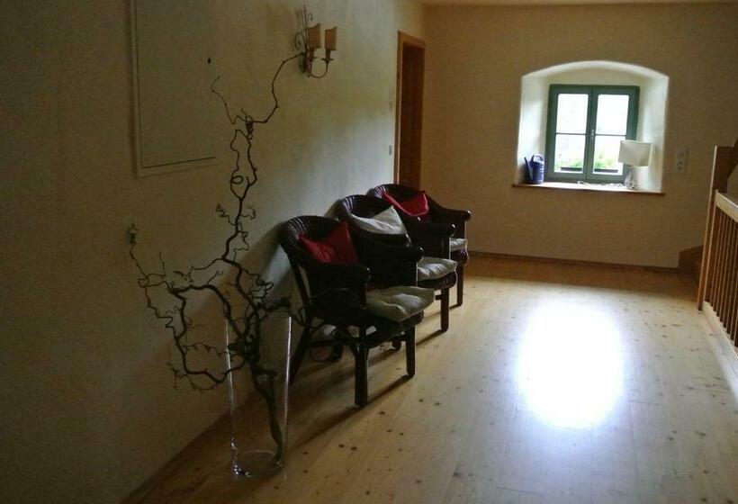 Номер Стандарт Индивидуальный, Zwieseler Waldhaus