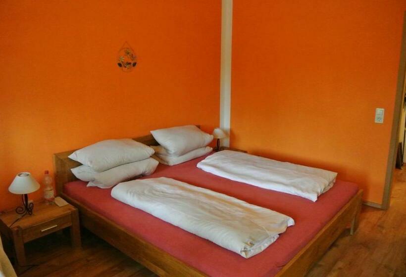 标准间, Zwieseler Waldhaus