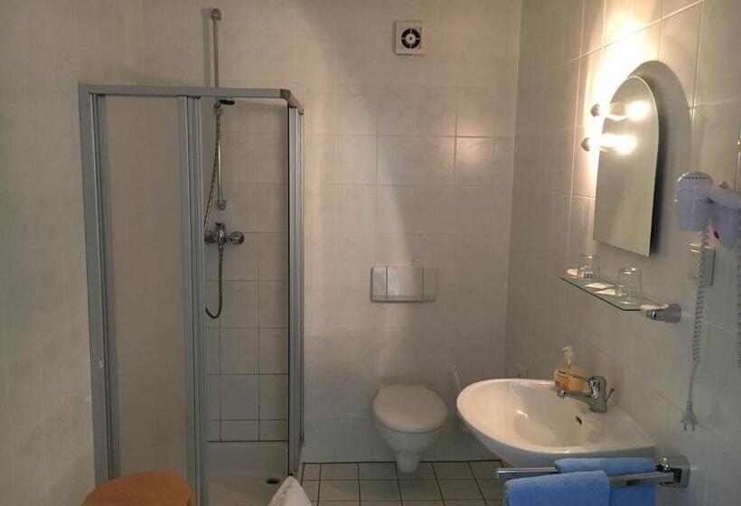 Номер Стандарт с Террасой, Kastanienhof Hotel Garni