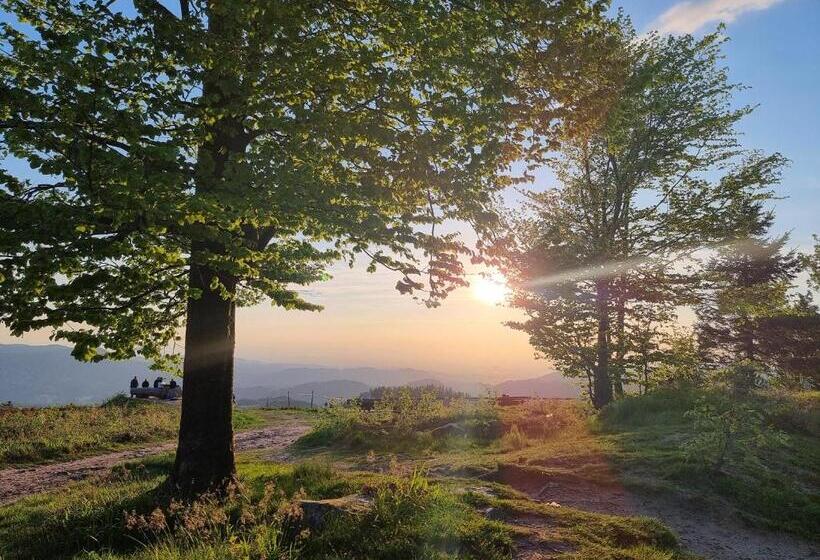 Номер Стандарт, Kurparkhotel Faißt