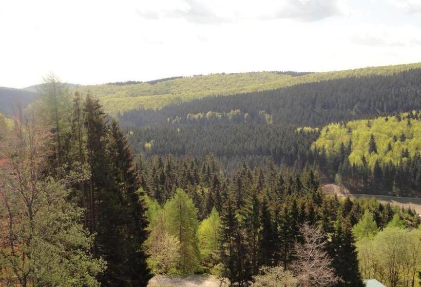 Номер Комфорт, Landhotel Fernsicht