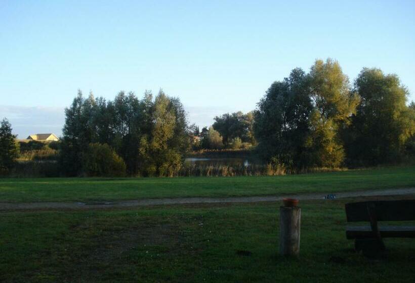 اتاق استاندارد یک نفره, Landhotel Zur Scheune