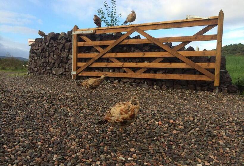 高级大房间, Ceo Mara Croft B&b & 2 Luxury Cabins