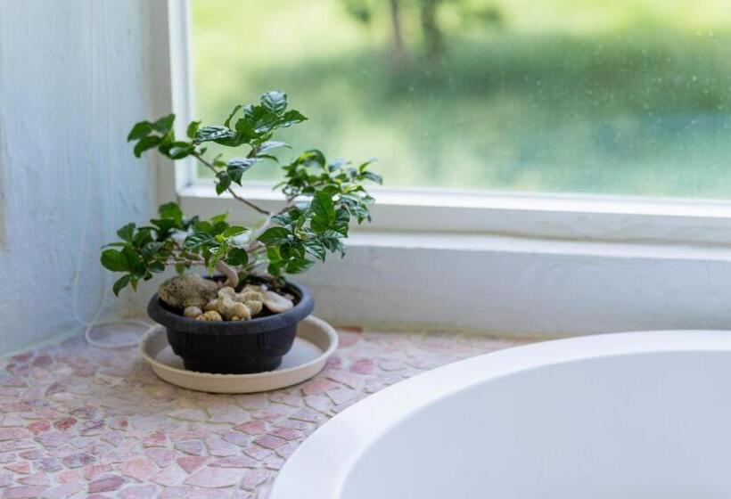 اتاق استاندارد با چشم‌انداز کوهستان, Mong Shan Homestay