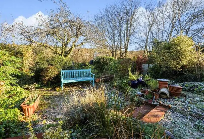Quarto Individual Vista Jardim, Roscrea Bed & Breakfast