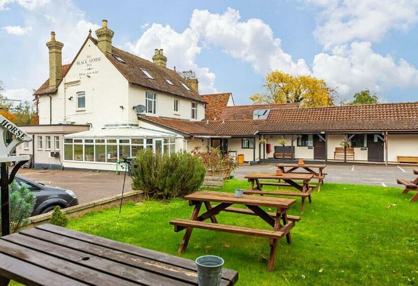 חדר סטנדרט, The Black Horse