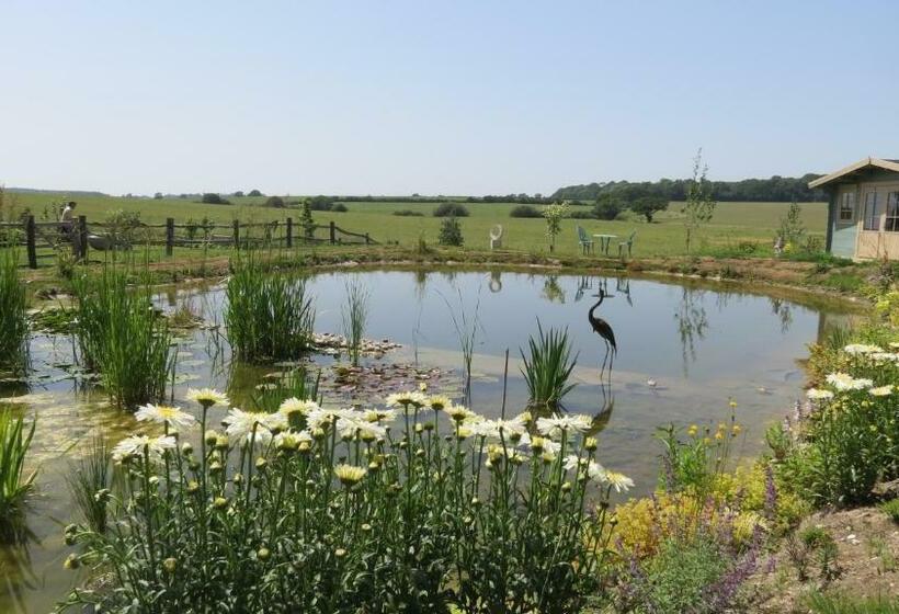 수피리어 룸 가든 전망, Newmans Lodge