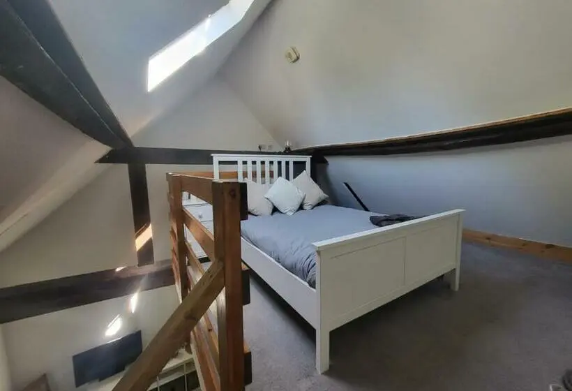 １ベッドルームアパートメント, The Dolphin Inn