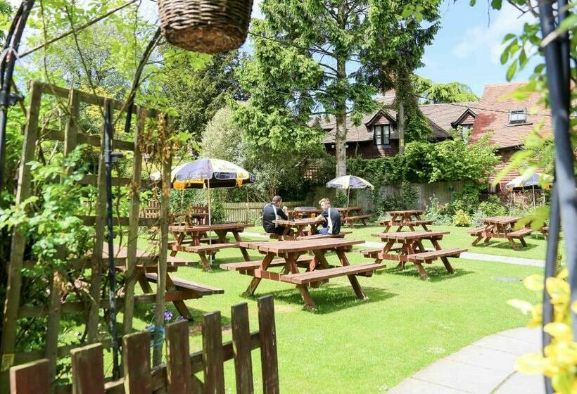 آپارتمان 1 خوابه همکف, The Dolphin Inn