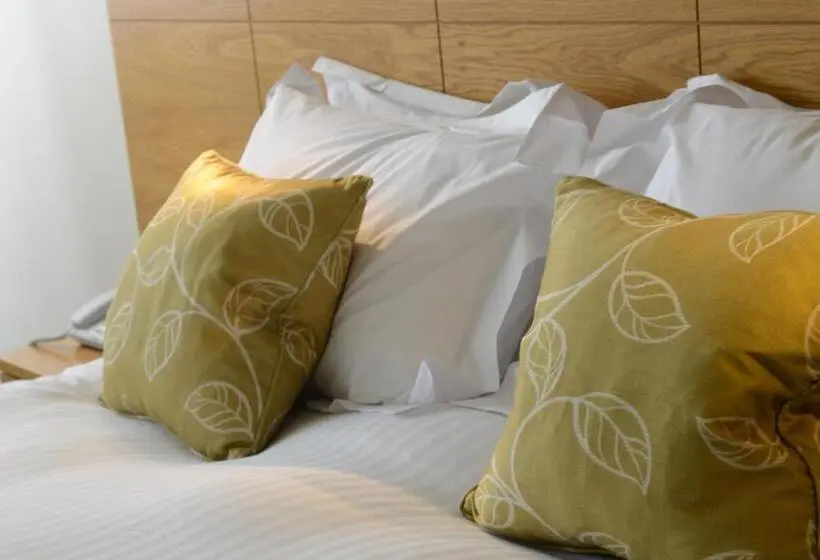身障者適用スタンダードルーム, Croyde Bay Hotel Or Self Catering