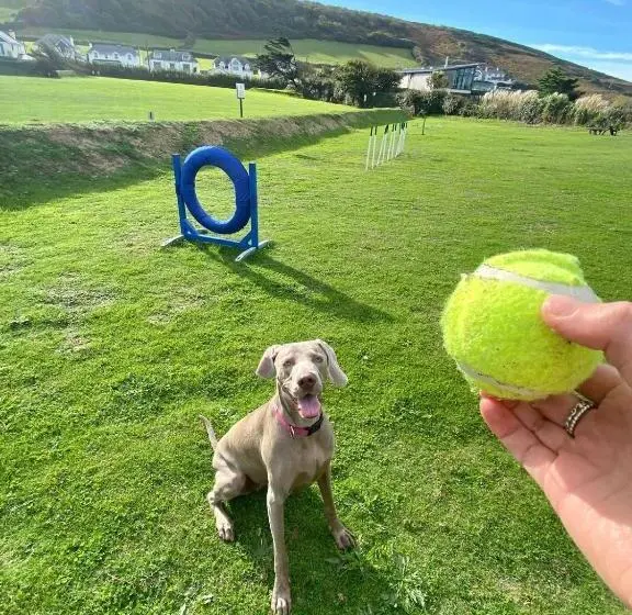１ベッドルームハウス, Croyde Bay Hotel Or Self Catering