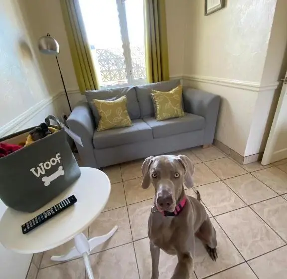 １ベッドルームハウス, Croyde Bay Hotel Or Self Catering