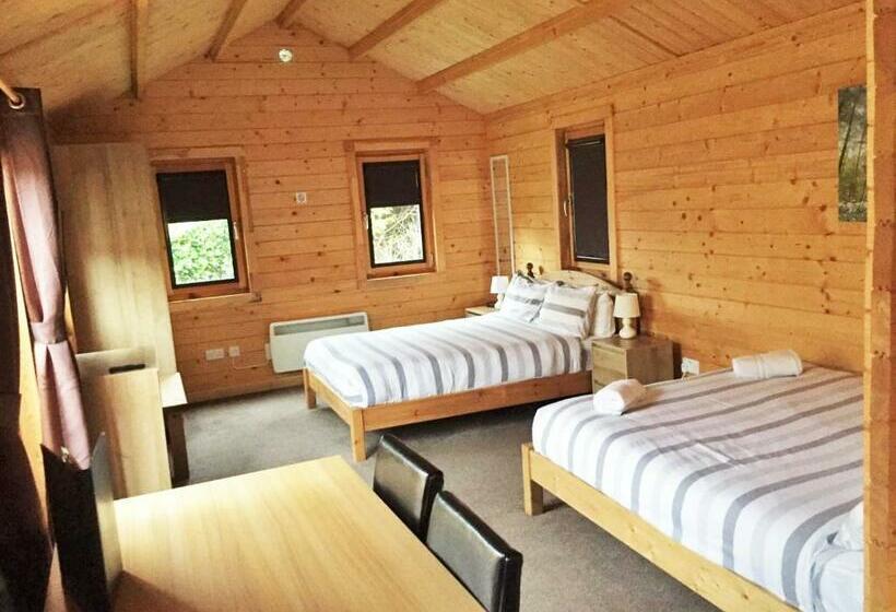 غرفة قياسية فردية, Forest Edge Motel