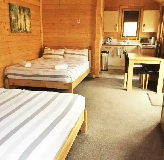 スタンダードシングルルーム, Forest Edge Motel