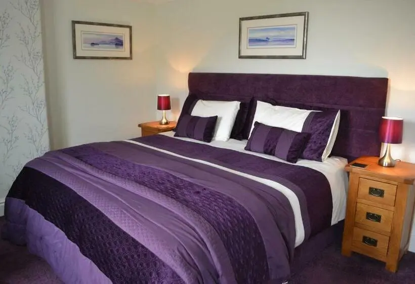 Superior-huone King-vuode, Coedyfron