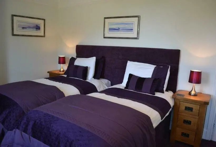 Superior-huone King-vuode, Coedyfron