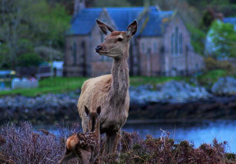 수피리어 룸 바다 전망, Davar