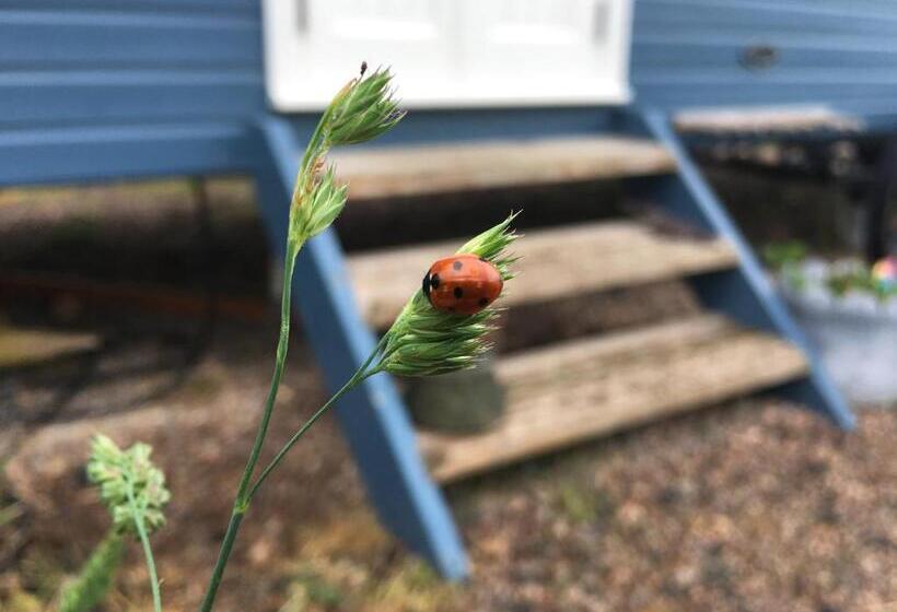 침실 1개 아파트, Westfield House Farm