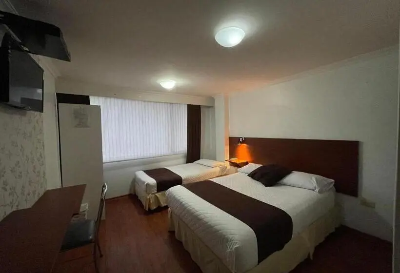 Standard Kolmen Hengen Huone, Gran Hotel Napoleón