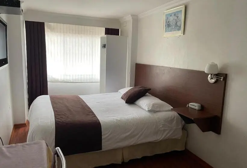 Standard Yhden Hengen Huone, Gran Hotel Napoleón