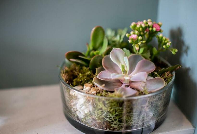 חדר סטנדרט, Arrow Mill Brunning And Price