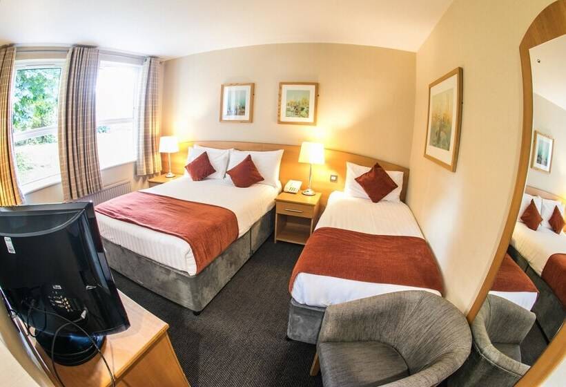 اتاق استاندارد یک نفره, Rosspark Hotel Kells