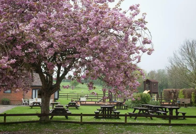 Standard-huone, The Langton Arms