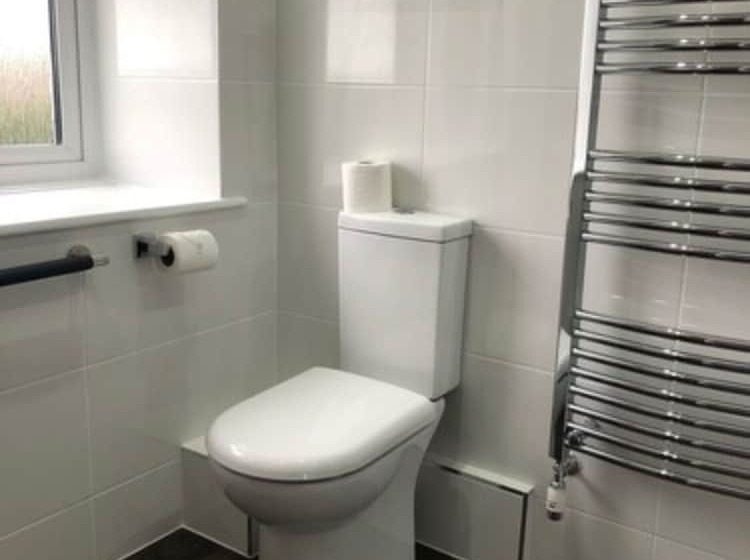 标准单人间, The Pines