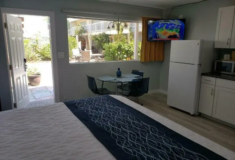 Standard-studio King-vuode, The Palms On Ocean