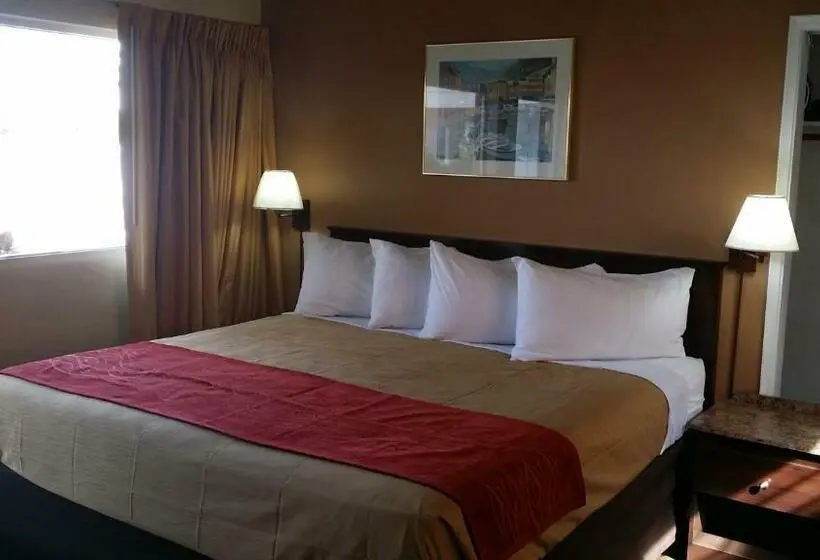 Standard-huone King-vuode, The Palms On Ocean