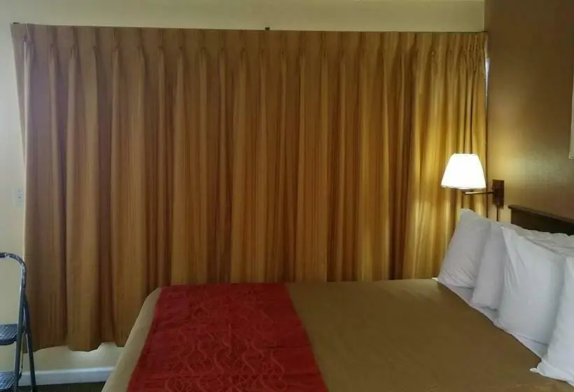 Standard-huone King-vuode, The Palms On Ocean