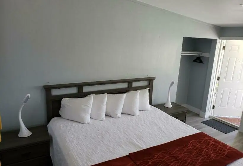 Standard-studio King-vuode, The Palms On Ocean
