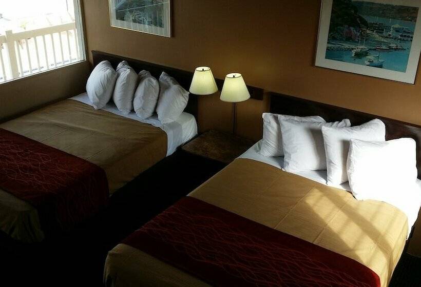 带2个双人床的标准工作室, The Palms On Ocean