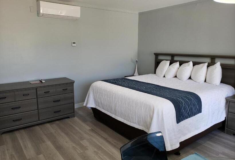 带大床的标准工作室, The Palms On Ocean