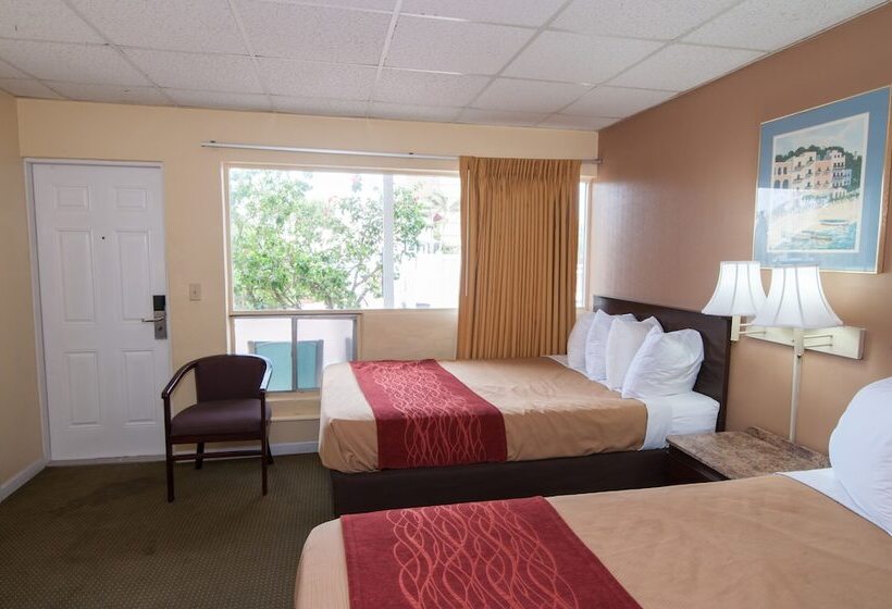 带2个双人床的标准工作室, The Palms On Ocean