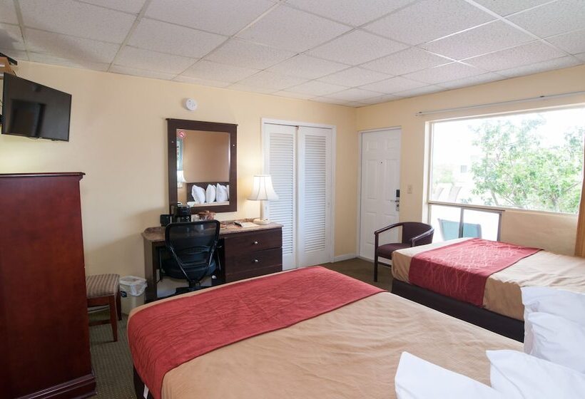 带2个双人床的标准工作室, The Palms On Ocean