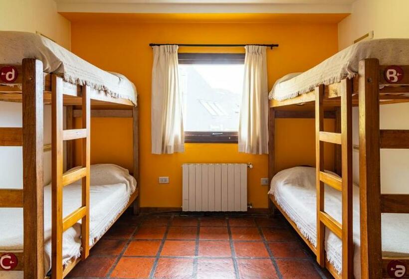 מיטה בחדר משותף, Rancho Grande Hostel