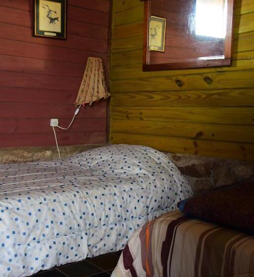 공동 객실, Hostel Al Infinito