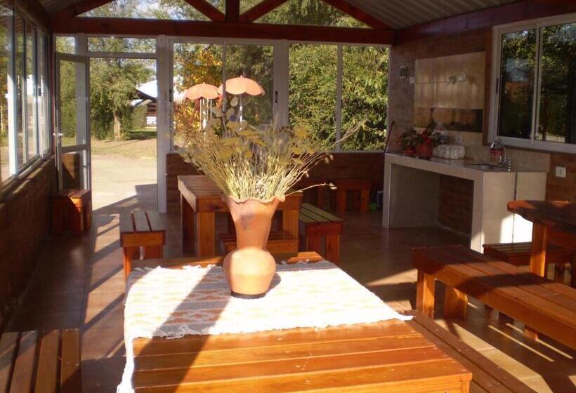 スタンダードトリプルルーム, Foxes