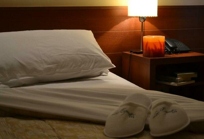 스탠다드 룸, Los Espinillos Hotel Y Spa