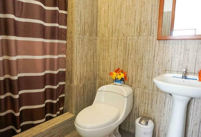 חדר סטנדרט לשלושה, Galapagos Native