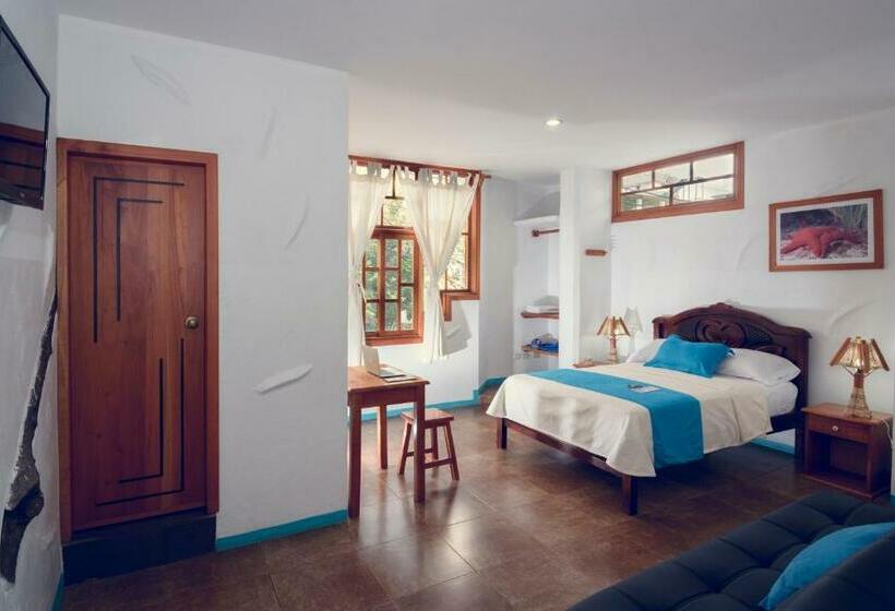 חדר סטנדרט, Galapagos Native