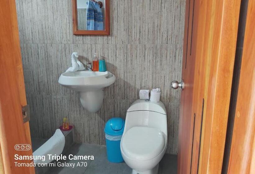 חדר סטנדרט, Galapagos Native