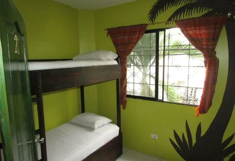 ルームシェアのワンベッド, Dreamkapture Hostel Close To The Airport And Bus Terminal