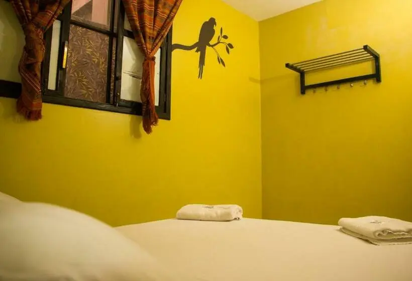 バス共有のスタンダードルーム, Dreamkapture Hostel Close To The Airport And Bus Terminal