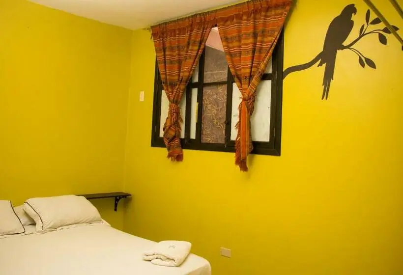 バス共有のスタンダードルーム, Dreamkapture Hostel Close To The Airport And Bus Terminal