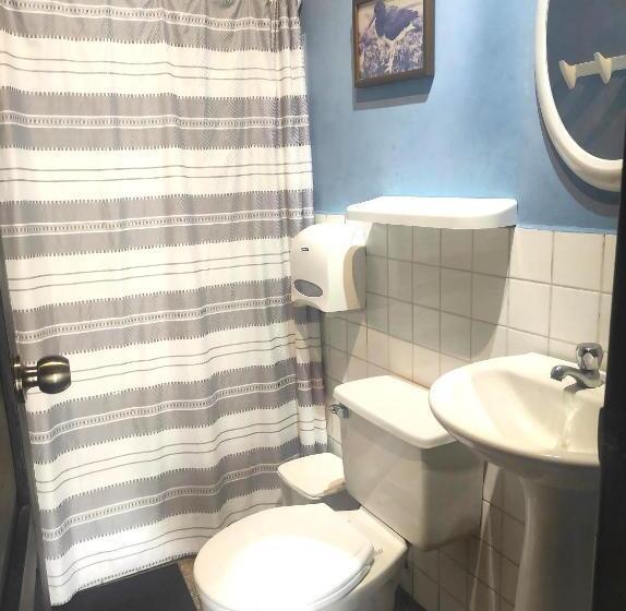 اتاق استاندارد با سرویس بهداشتی مشترک, Dreamkapture Hostel Close To The Airport And Bus Terminal